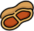 groundnut
